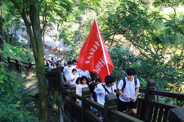 竞技宝如何